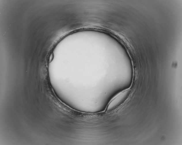 X0000097301363200803141523
