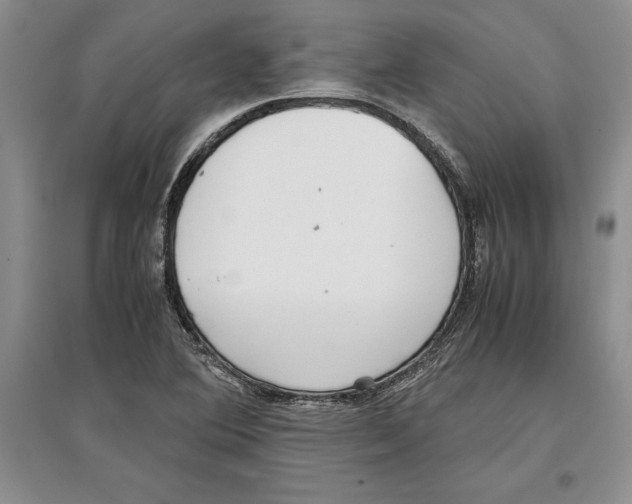 X0000097301364200803141523