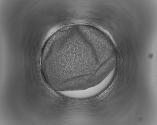 X0000097301365200803141523