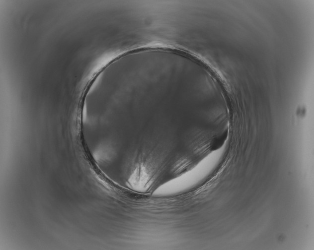 X0000097301367200803141523