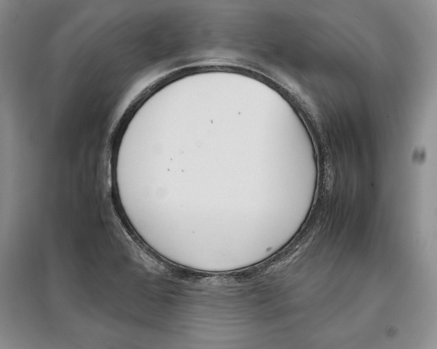 X0000097301368200803141523