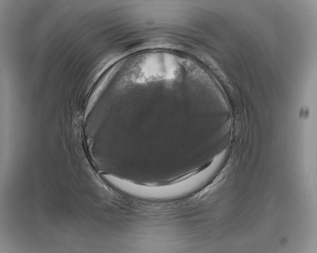 X0000097301369200803141523