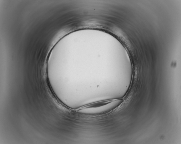 X0000097301370200803141523