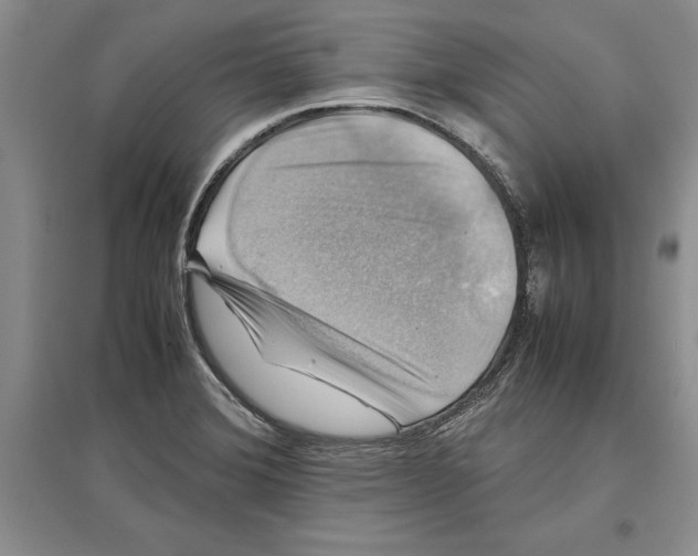 X0000097301372200803141523