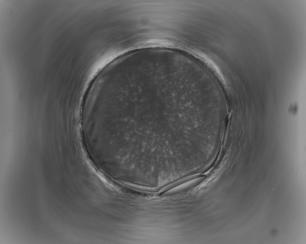 X0000097301373200803141523