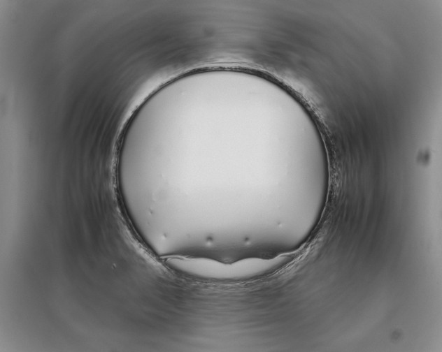 X0000097301374200803141523