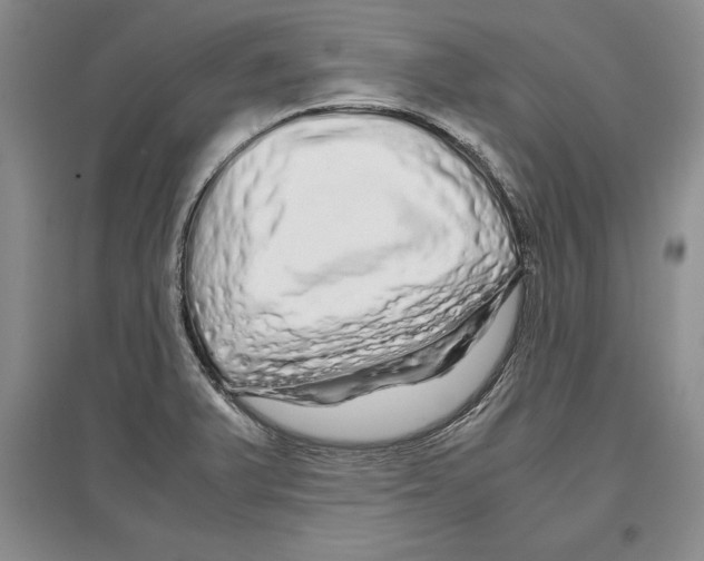 X0000097301375200803141523