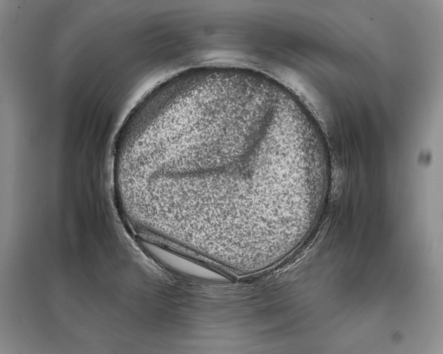 X0000097301376200803141523