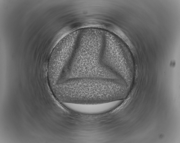 X0000097301377200803141523