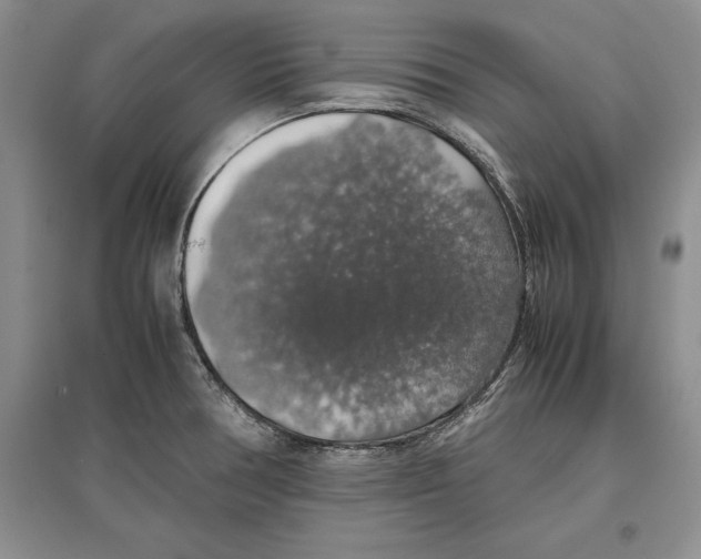 X0000097301378200803141523