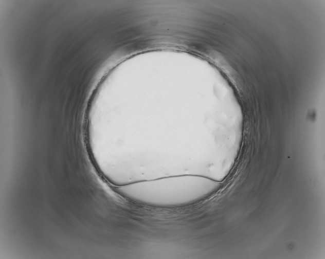 X0000097301379200803141523