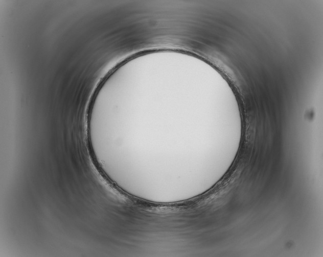 X0000097301380200803141523