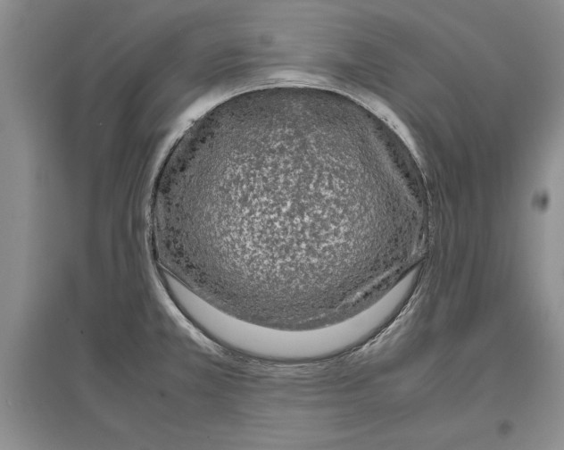 X0000097301381200803141523