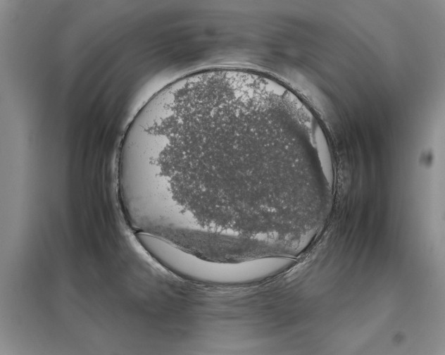 X0000097301382200803141523