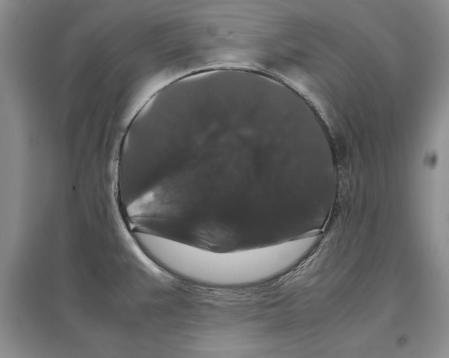 X0000097301383200803141523