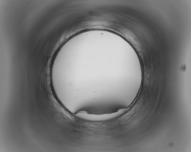 X0000097301384200803141523
