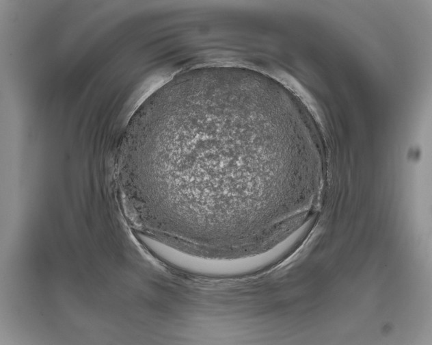 X0000097301385200803141523