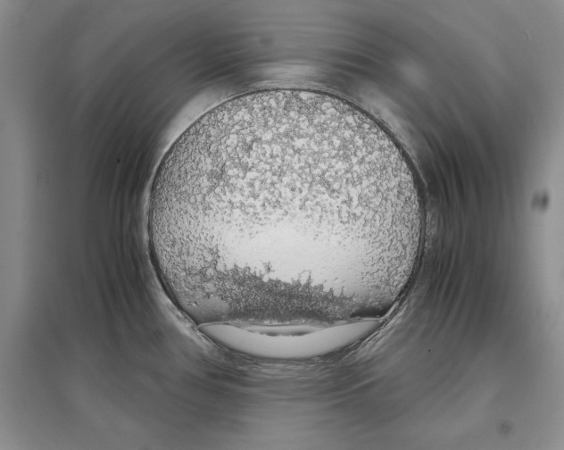 X0000097301386200803141523