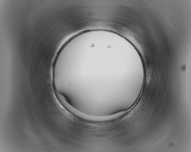 X0000097301388200803141523