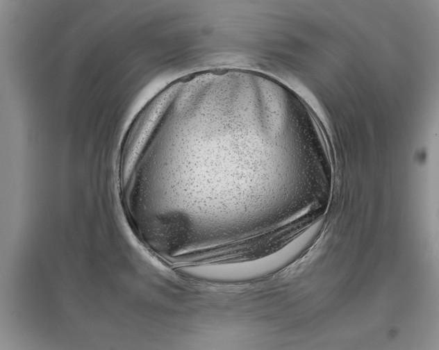 X0000097301389200803141523