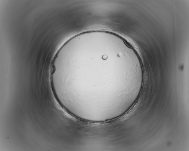 X0000097301390200803141523