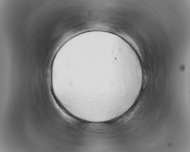 X0000097301391200803141523