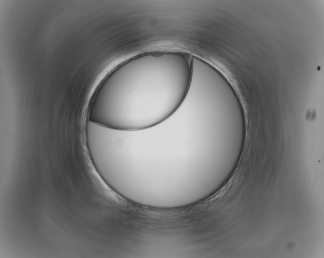 X0000097301392200803141523