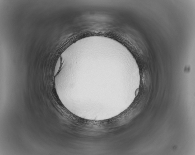 X0000097301396200803141522