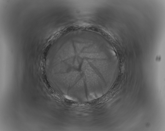 X0000097301397200803141522