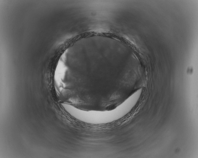 X0000097301398200803141522