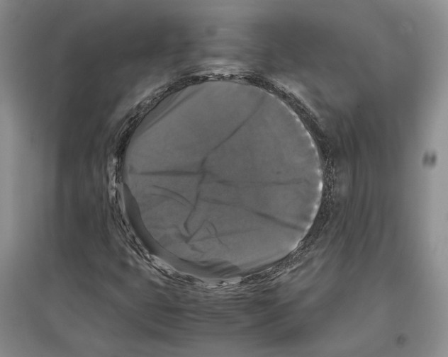 X0000097301399200803141522