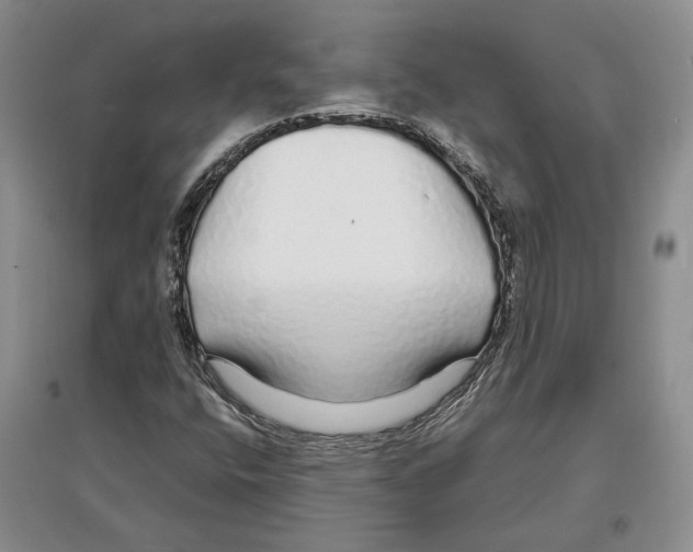 X0000097301400200803141522