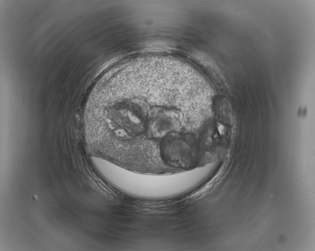 X0000097301401200803141522