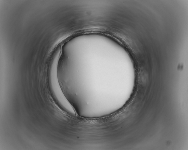 X0000097301402200803141522