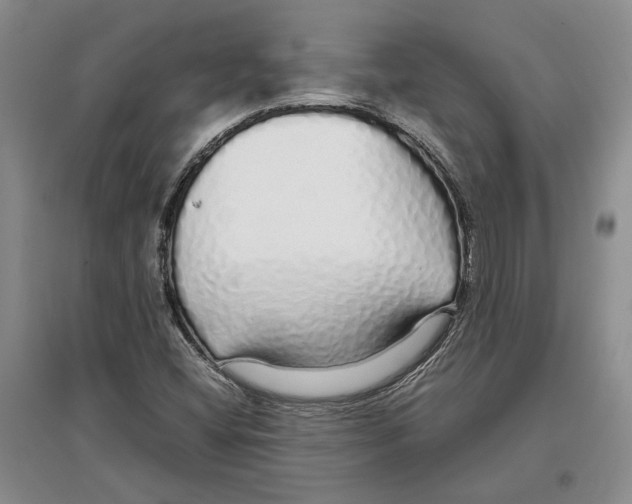 X0000097301404200803141522