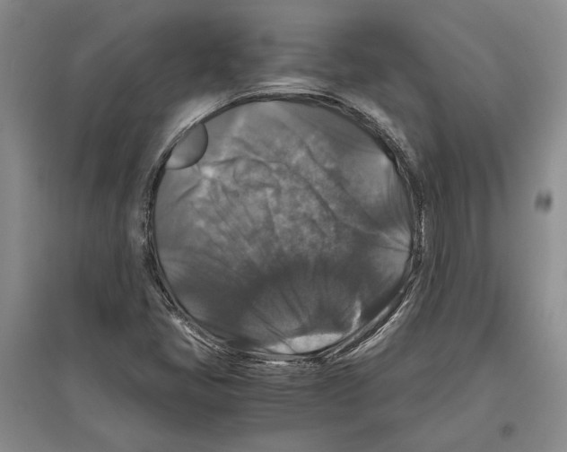 X0000097301405200803141522