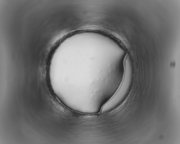 X0000097301406200803141522