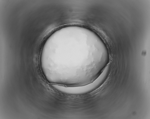 X0000097301407200803141522