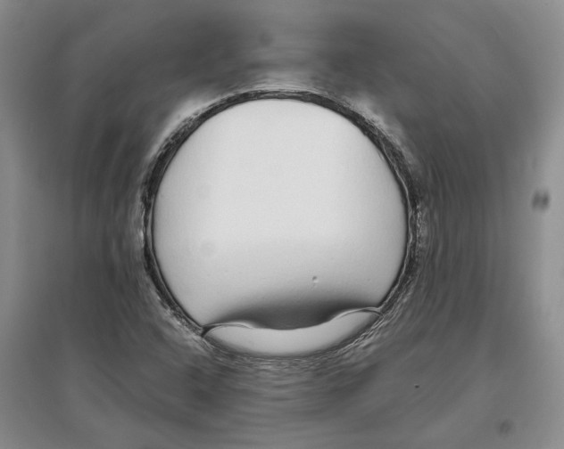 X0000097301408200803141522