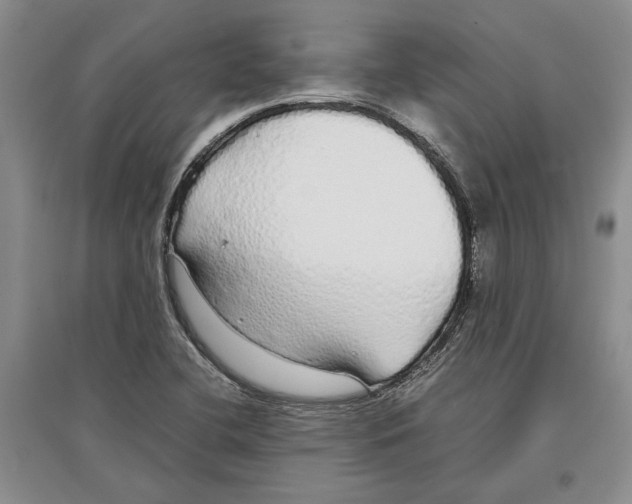 X0000097301412200803141522