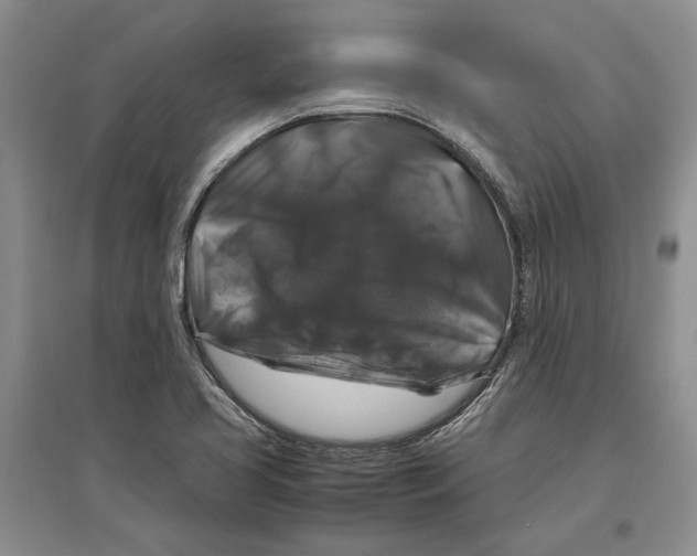 X0000097301413200803141522