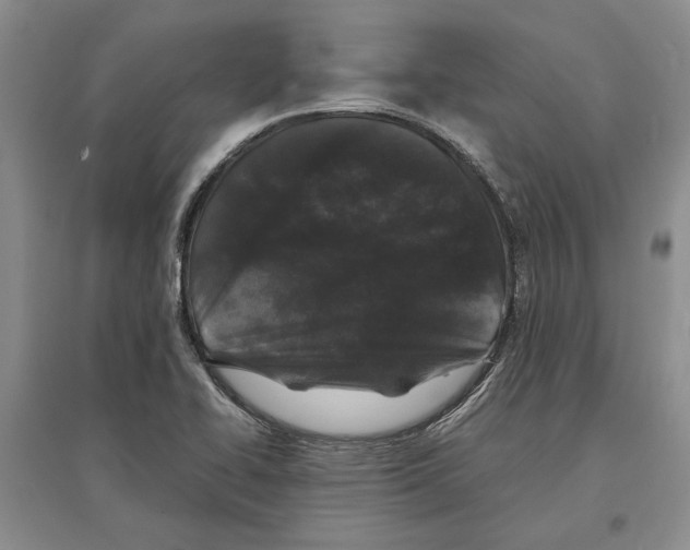 X0000097301414200803141522