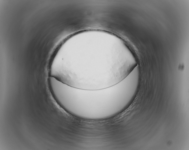 X0000097301416200803141522