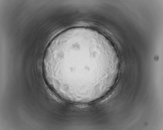 X0000097301417200803141522