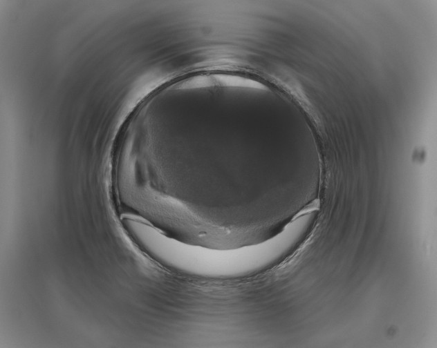 X0000097301418200803141522