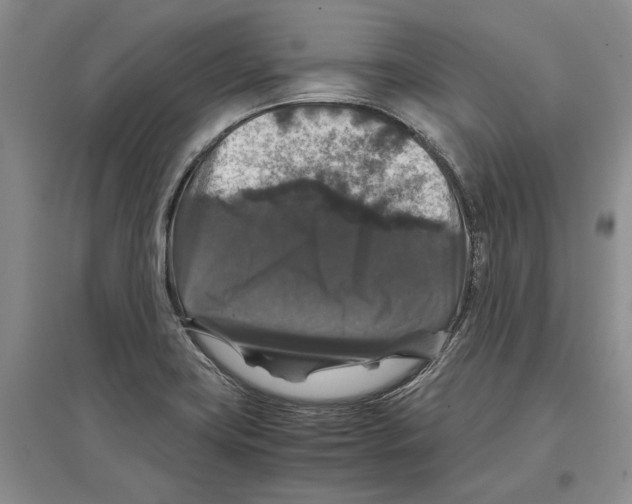 X0000097301419200803141522