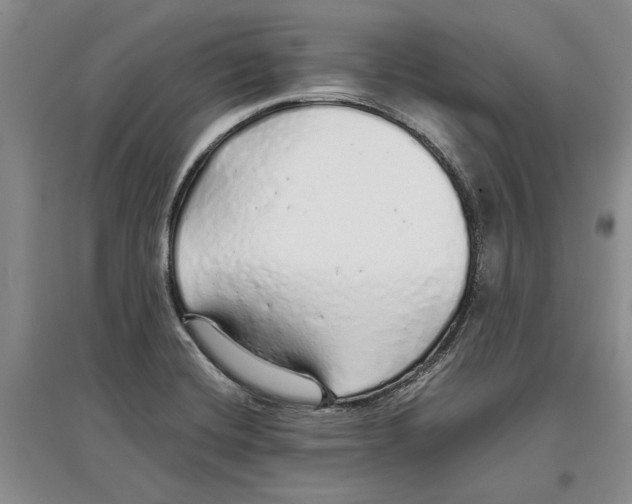 X0000097301420200803141522