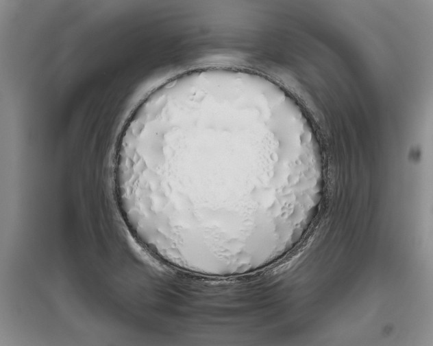 X0000097301421200803141522