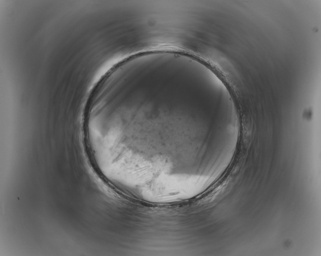 X0000097301422200803141522