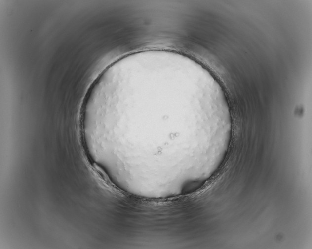 X0000097301423200803141522